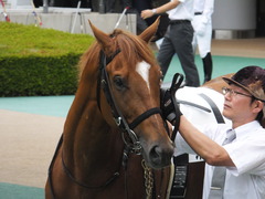 20160619 東京4R 3歳未勝利 オートシャンティ 15