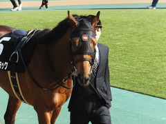 20150221 東京9R 4歳上1000万下 オウケンブラック 04