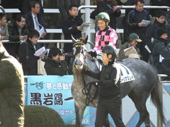 20150117 中山5R 3歳未勝利 グローリアスレイ 07
