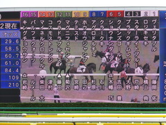 20170618 東京4R 3歳未勝利 ホウオウジャンプ 01