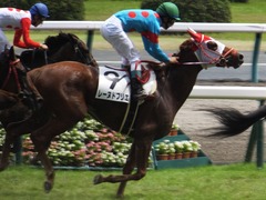 20160710 中京7R 3歳上500万下 レーヌドブリエ 26