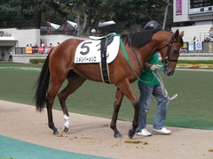 20121014 リメンバーメジロ初勝利 01