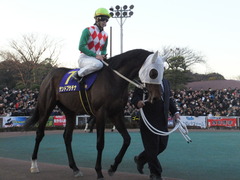 20161229 大井10R 東京大賞典(G1) サンドプラチナ 19