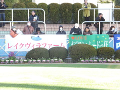 20140119 中山競馬場 ショウナンラグーン 01