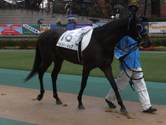20141129 東京6R 3歳上500万下トレジャーマップ 04