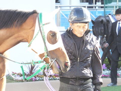 20151226 中山2R 2歳未勝利 カズノメガミ 02