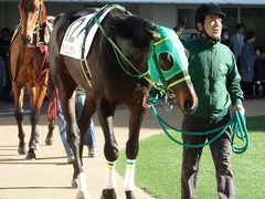 20180114 中山2R 3歳未勝利 アイコンタクト 07