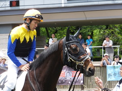 20150620 東京5R 2歳メイクデビュー プロディカルサン 11
