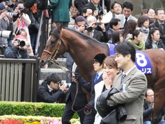 20161030 東京11R 天皇賞・秋(G1) モーリス 03