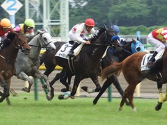 20180617 東京8R (500) ミッキーバード 20
