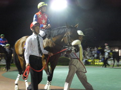 20140730 大井11R 重賞 グランディオーソ 07