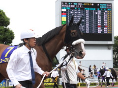 20140915 大井11R 東京記念 ユーロビート 09