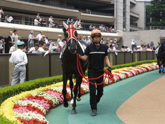 20140621 東京4R トマトリコピン 02