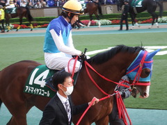 20181117 東京11R 東スポ杯2歳S(G3) アドマイヤスコール 15