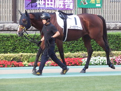 20181020 東京12R (1000) ノーモアゲーム 03