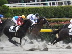 20170604 東京7R 3歳上500万下 プエルト 17
