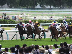 20150906 札幌2R 2歳未勝利 サラマンカ 12