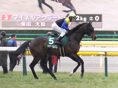 20170205 東京11R 東京新聞杯(G3) プロディガルサン 18