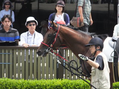 20160612 東京8R 3歳上500万下 トーセンカナロア 03