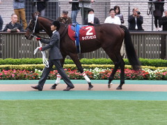 201301109 東京 ライアンセンス 02