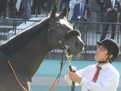 20161105 東京9R 南武特別(1000) マイネルサージュ 14