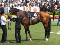 20160522 東京9R 石和特別(1000) オウケンブラック 14