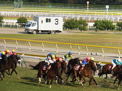 20140928 新潟11R オールカマー サトノノブレス 19