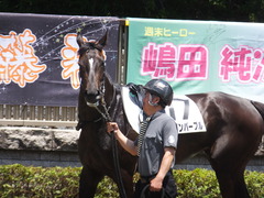 20170520 東京4R 3歳未勝利 ファインパープル 04