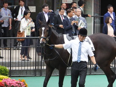 20160605 東京4R 3歳未勝利 ツボミ 16