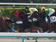 20180303 中山2R 3歳未勝利 ノーザンクリス 19