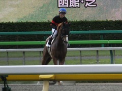 20170618 東京7R 33歳上500万下 ホウオウマリリン 11