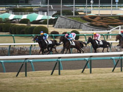 20150124 中山8R 4歳上500万下 ヴィルトグラーフ 10