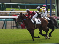 20161204 中山3R 2歳未勝利 メガポリゴン 22