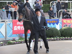 20140126 中山10R ゴールウェイ 06