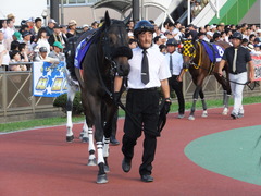 20150720 船橋11R 習志野きらっとS(S3) カベルネフラン 06