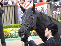 20141102 東京11R 天皇賞(秋) サトノノブレス 06