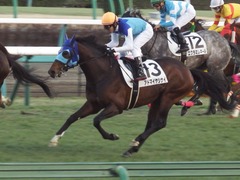 20190119 中山12R 4歳上(1000) アドマイヤシナイ 17