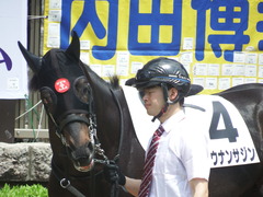 20190504 東京4R 3歳未勝利 ショウナンサジン 07