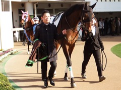 20171216 中山2R 2歳牝馬未勝利 ルフィーナ 08