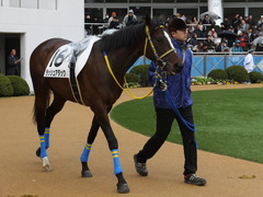 20150308 中山5R 3歳未勝利 ラッシュアタック 07