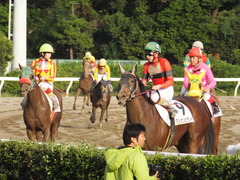 20161012 大井2R 3歳95万下 マルカンヒラリー 25