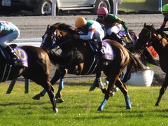 20151025 京都11R 菊花賞(G1) マッサビエル 20