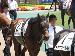 20140531 東京6R オウケンブラック 07