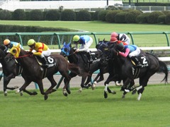 20180916 中山10R 初風特別(1000) イサチルホープ 16