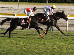 20140921 セントライト記念 ラグーン&ブラックン 02