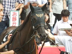 20180916 中山10R 初風特別(1000) ウォーターラボ 10