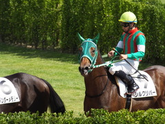 20151003 中山2R 2歳未勝利 シルクリバー 13