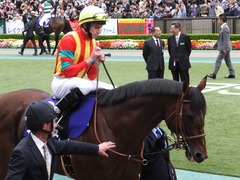 20161030 東京11R 天皇賞・秋(G1) モーリス 19