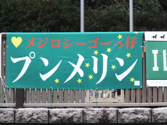 20161030 東京1R 2歳未勝利 プンメリン 01