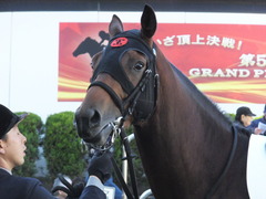 2013 中山競馬場 オウケンブラック 07